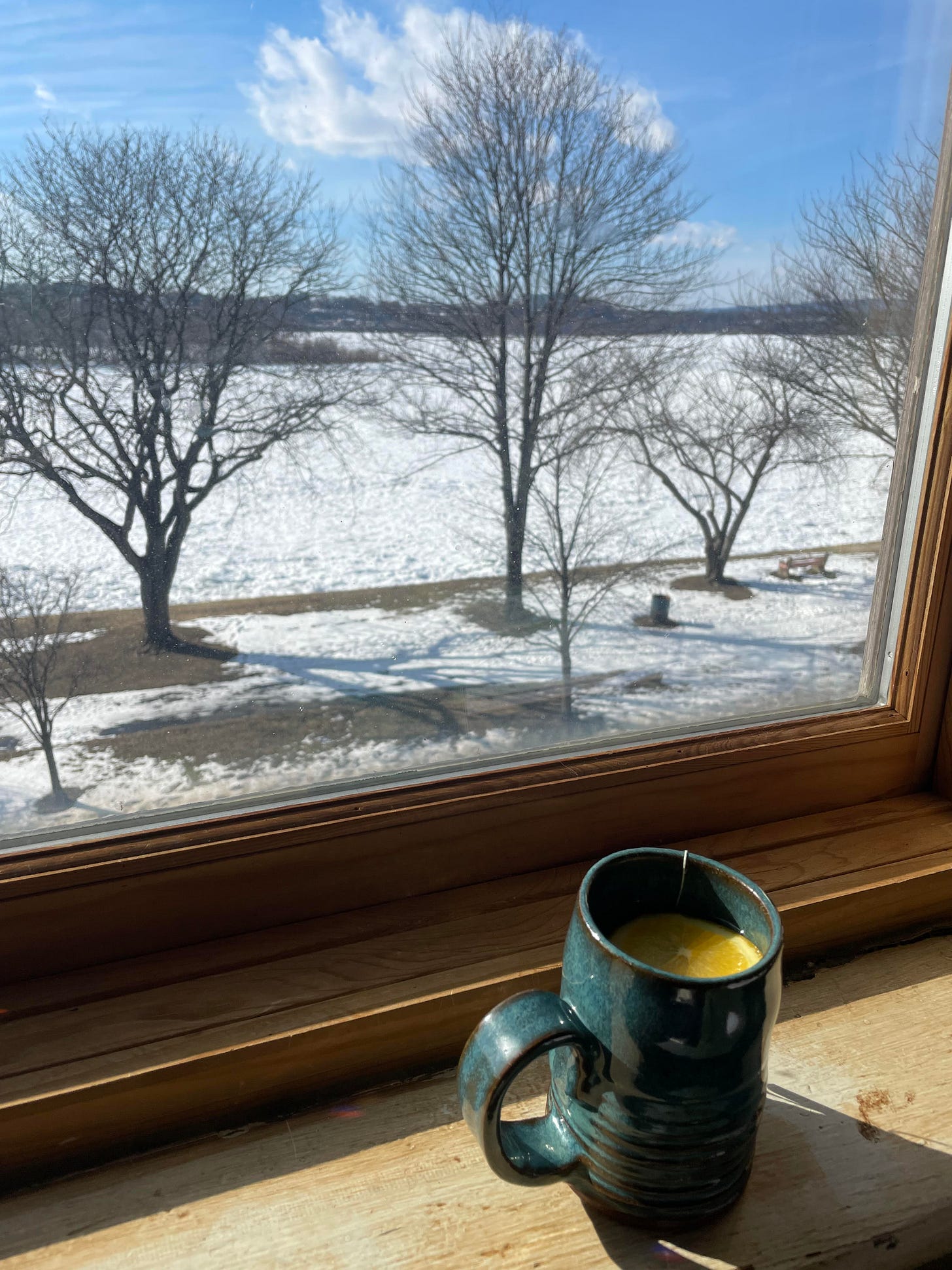 A view from a window of a frozen river and some bare trees. A mug of tea with an orange slice sits on the windowsill.