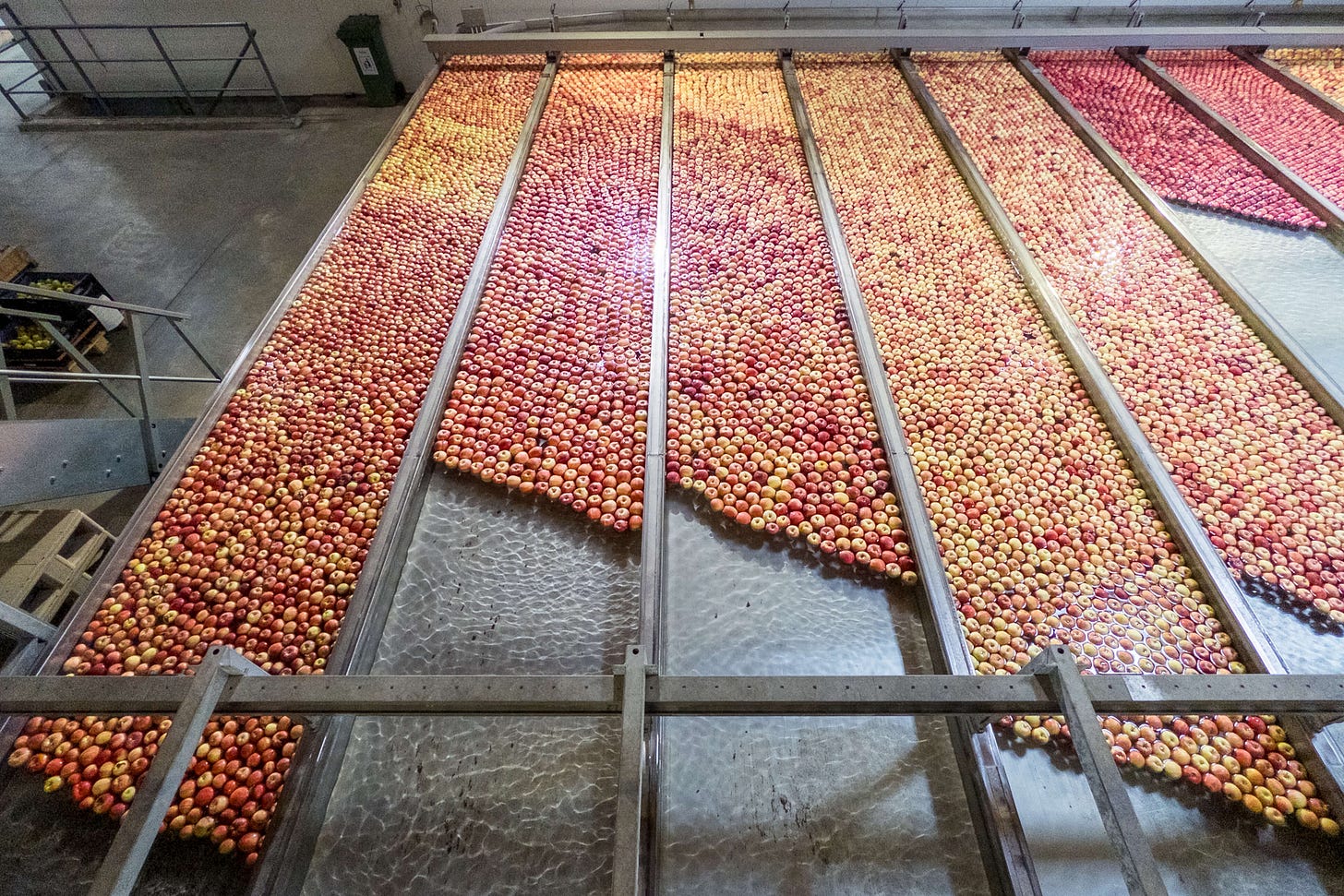 «Waschanlage» für Äpfel im Inoverde-Aufbereitungsstandort in Charrat VS. «Waschanlage» für Äpfel im Inoverde-Aufbereitungsstandort in Charrat VS.