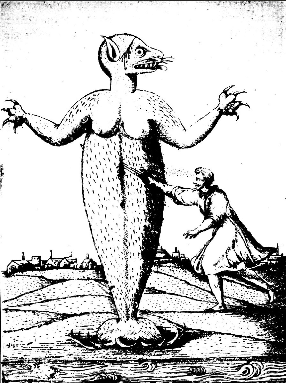 Ipupiara