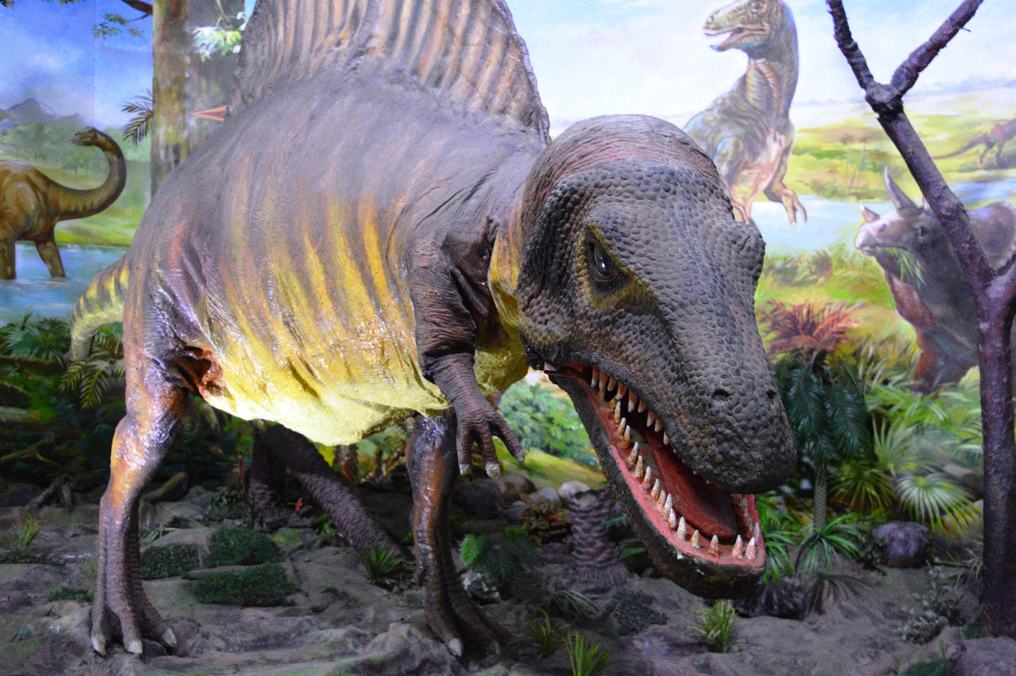 File:Dinosaur Corner.jpg - Wikimedia Commons