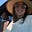 emma shulman's avatar