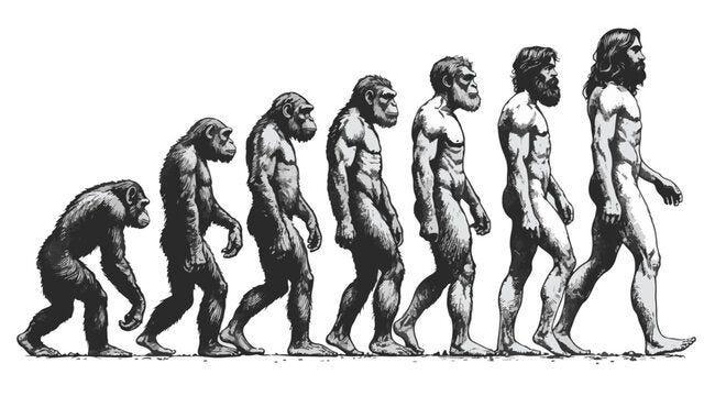 evolution of man from ape through various stages to modern human sketch engraving character vector illustration. high resolution 2