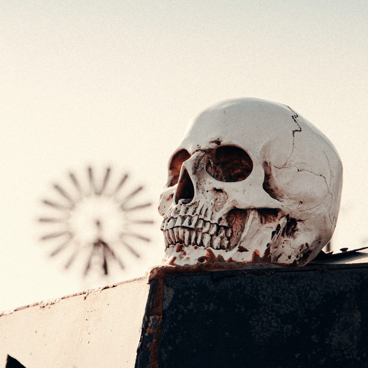  Meditations with MJC