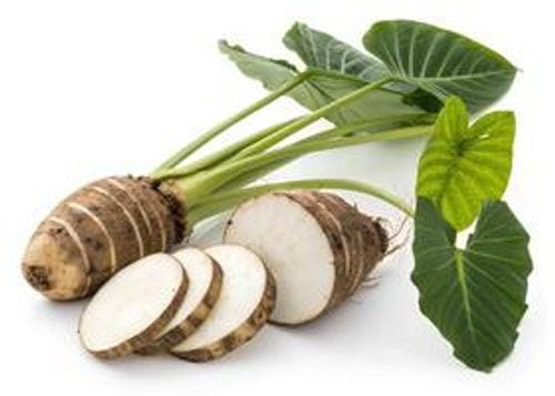Fresh Taro Root with Leaves photo