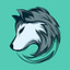 SAYIN's avatar