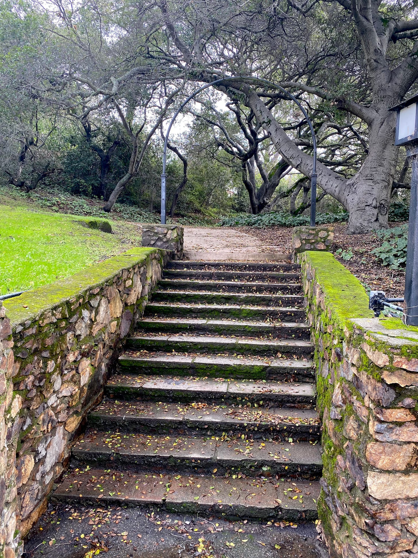 A stone staircase at Morcom Rose Garden. Oakland, California, Jan. 6., 2023. (Image source: Rob Corden / Creative Commons)