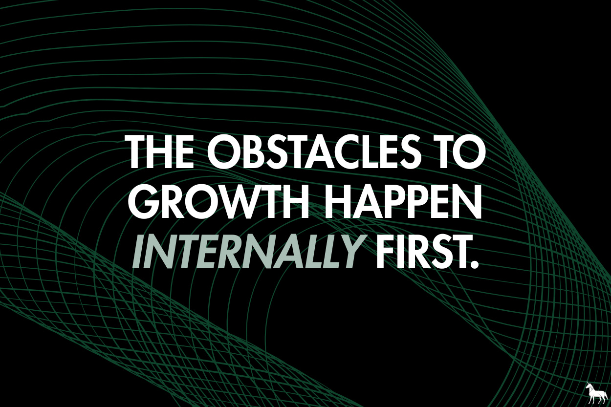 The obstacles on growth happen internally first.
