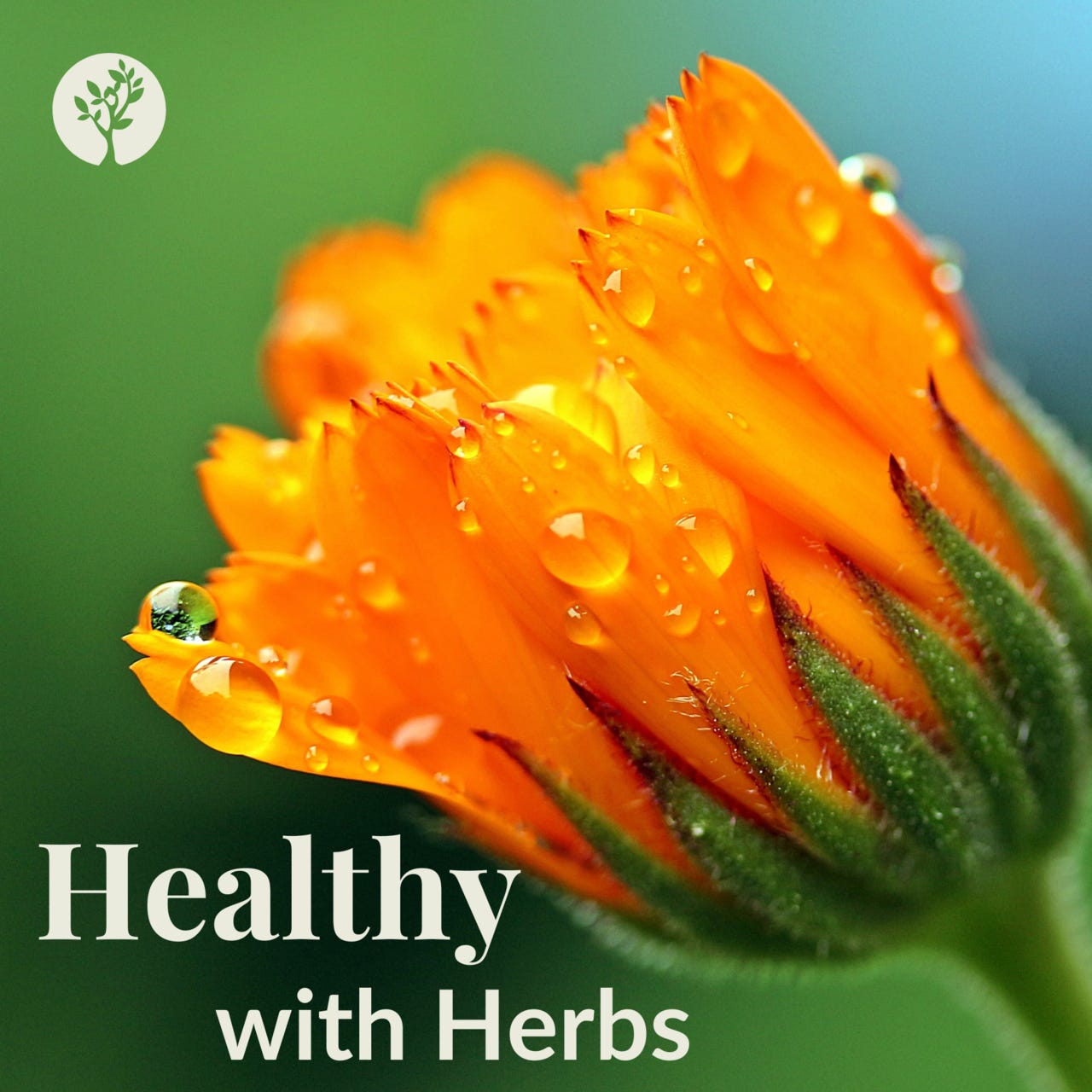 Healthy with Herbs