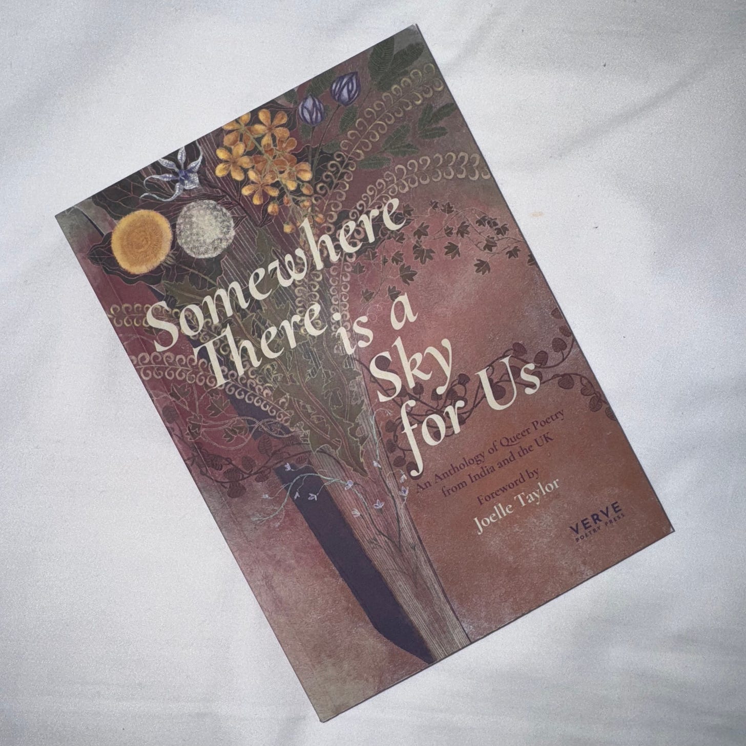 the book, somewhere there is a sky for us, an omnibus anthology of all four years of the programme