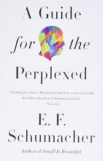 A Guide for the Perplexed: A Classic Philosophy on the Meaning of Life and Our Place in the World (Harper Perennial Modern Thought) A Guide for the Perplexed: A Classic Philosophy on the Meaning of Life and Our Place in the World (Harper Perennial Modern Thought)
