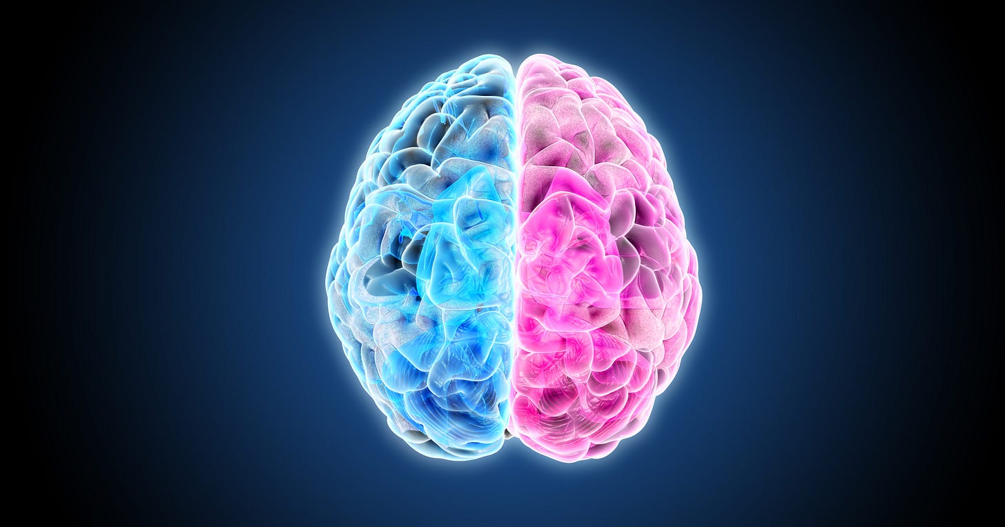Could Modern Crises Stem from Problems in the Human Brain? | Institute for  New Economic Thinking