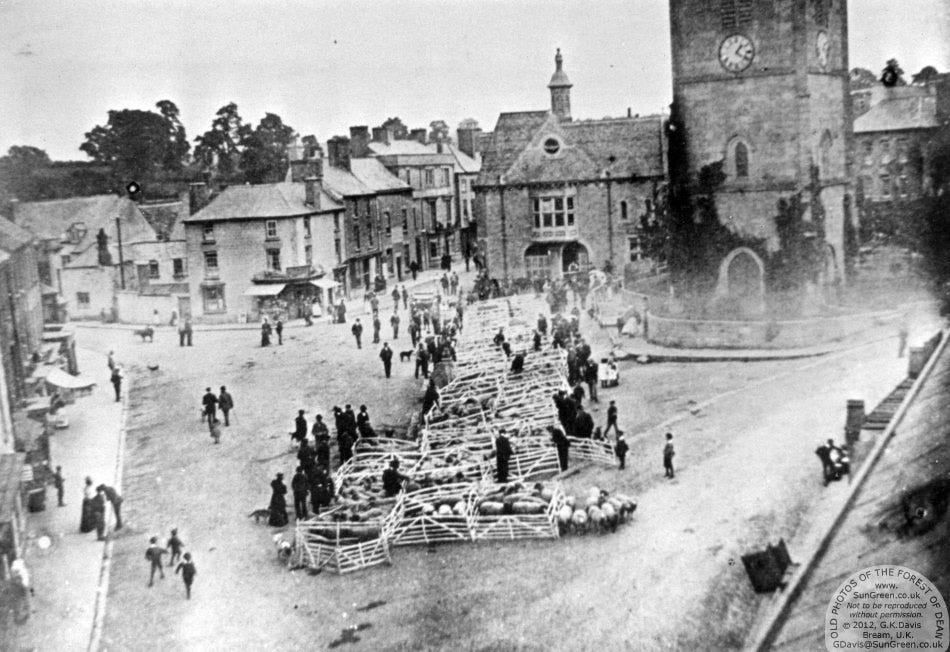 Markey Day in Coleford