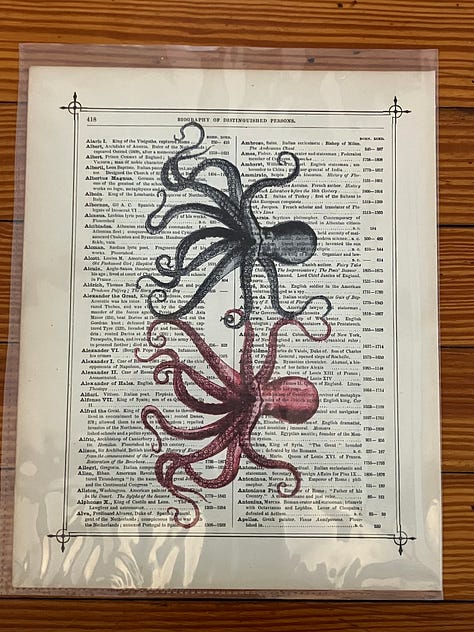 several images described in bullet points-- photos, collages, and a negative