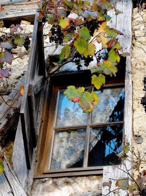 No photo description available. No photo description available.