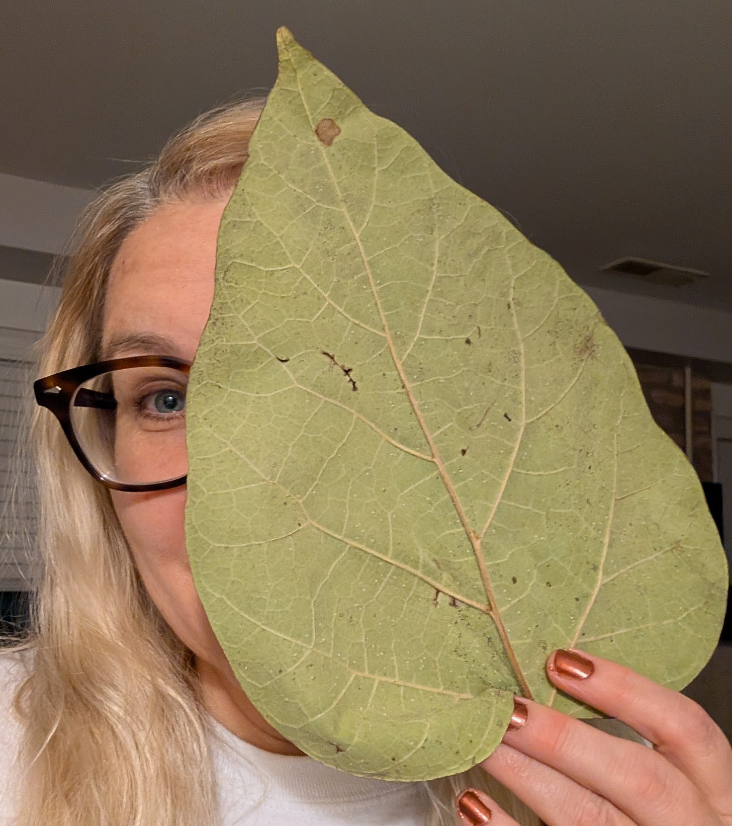 A blonde woman holding a large green catalpa tree leaf over her face