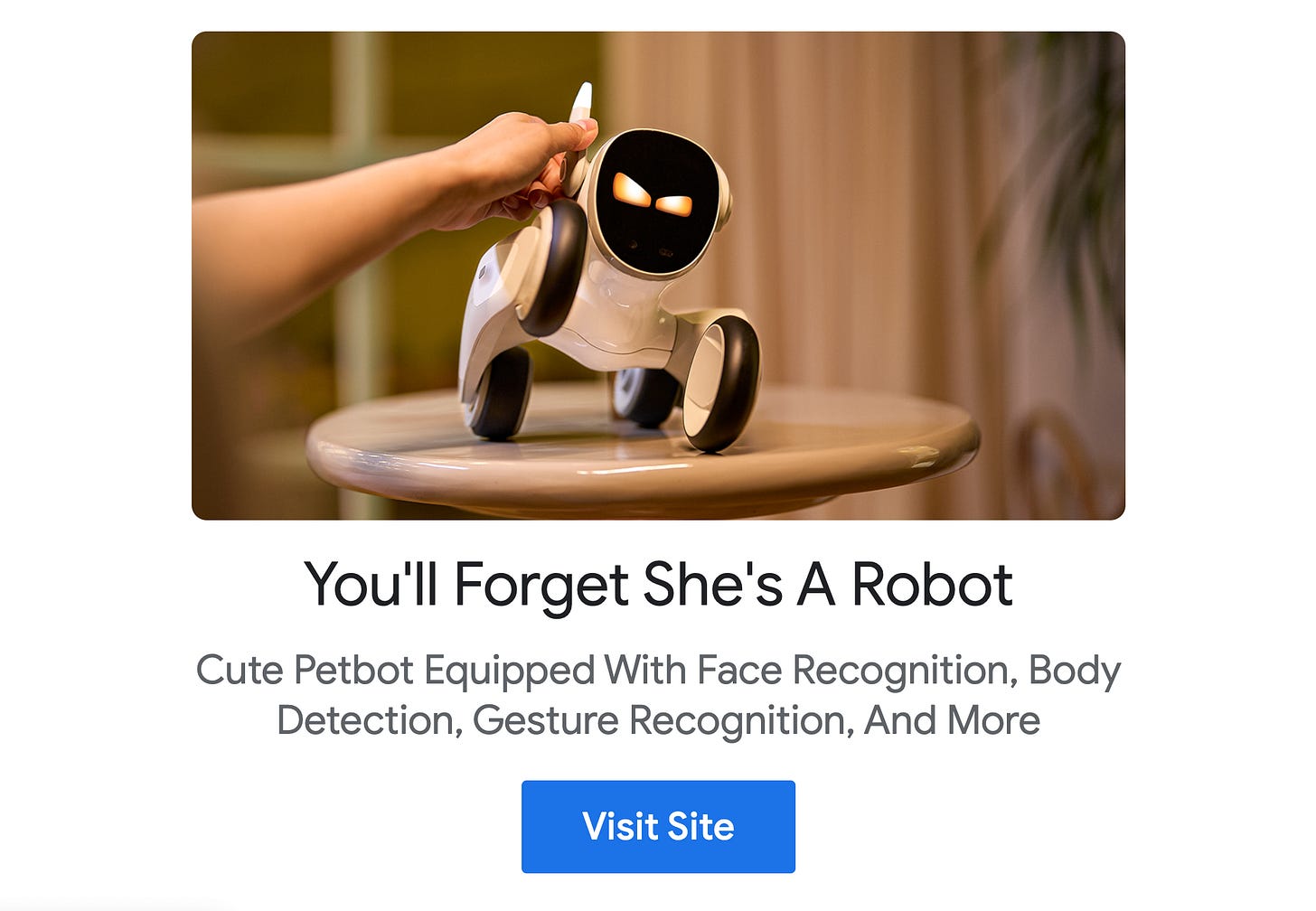 You'll forget she's a robot. Menacing dog-like robot stares back at you. You'll forget she's a robot. Menacing dog-like robot stares back at you.