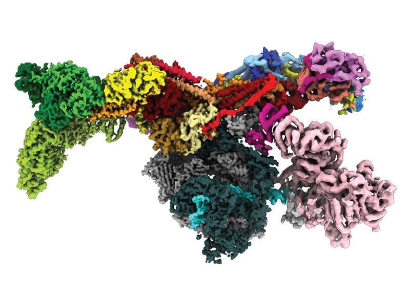 An illustration of a human Mediator-bound pre-initiation complex.