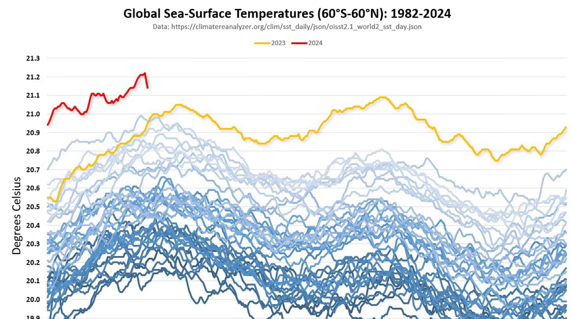 Stop Fixating on Kate's Photoshopping and Pay Attention to This Unaltered Reality: 365 Consecutive Days of Record-Breaking Global Sea Surface Temperatures.