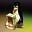harry prins's avatar