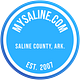 MySaline’s Substack