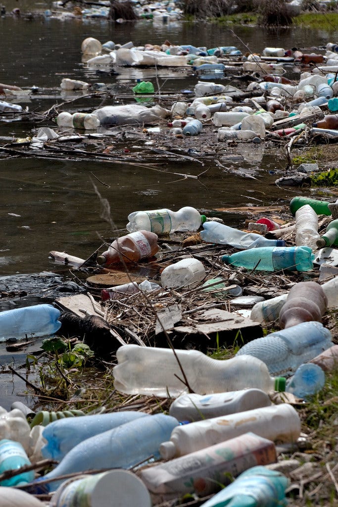 Plastic bottles and garbage on the bank of a river Plastic bottles and garbage on the bank of a river
