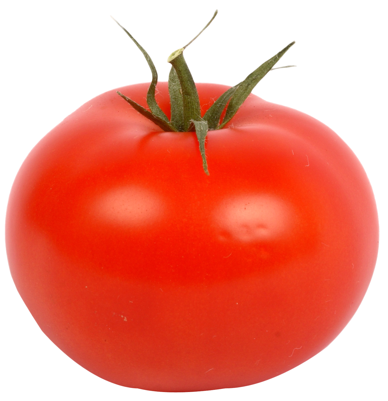 Fresh Red Tomato PNG Image - PurePNG | Free transparent CC0 PNG Image  Library