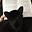 فاطِمة's avatar