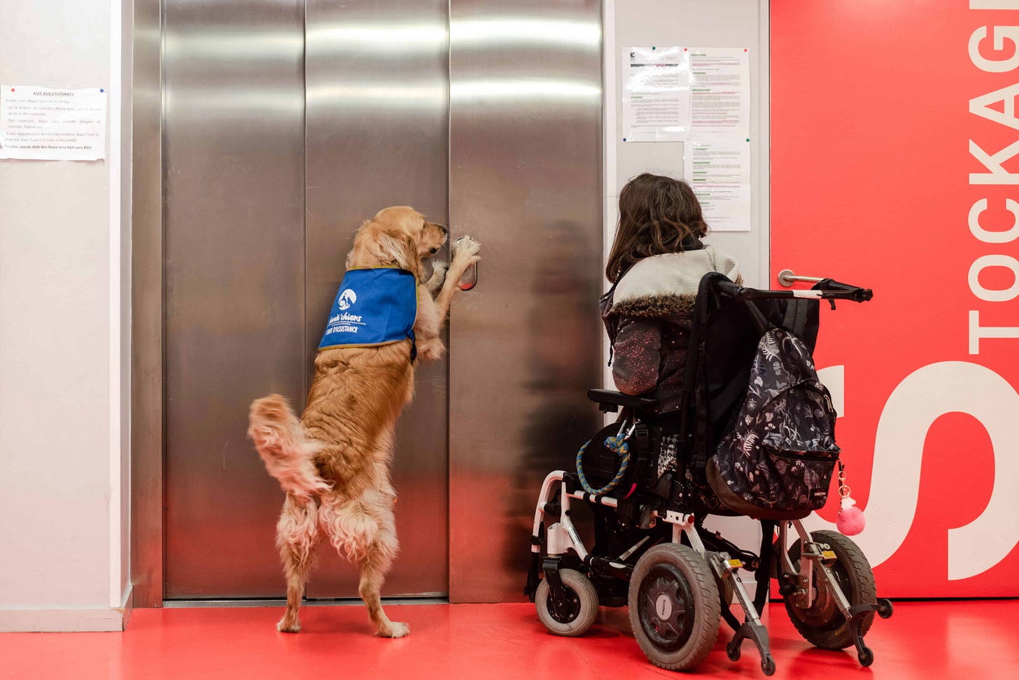 Mathilde et Lol, chien d'assistance HANDI'CHIENS