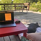 On Writing a Detransition Novel