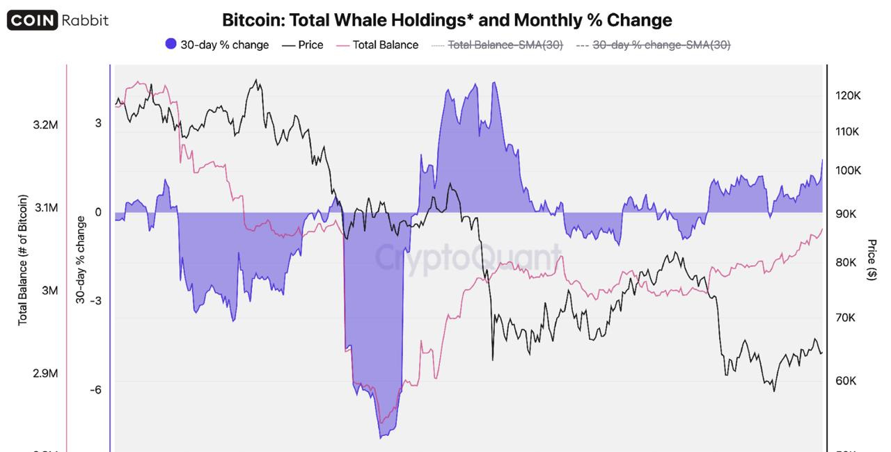 The $1.6 Trillion Asset Becoming Collateral