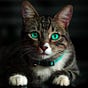 Parth's avatar