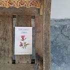 Anu Recommends #23