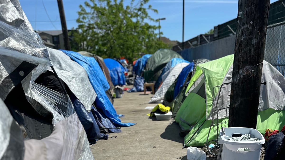 Spider Bites, Boulders, and Bureaucracy