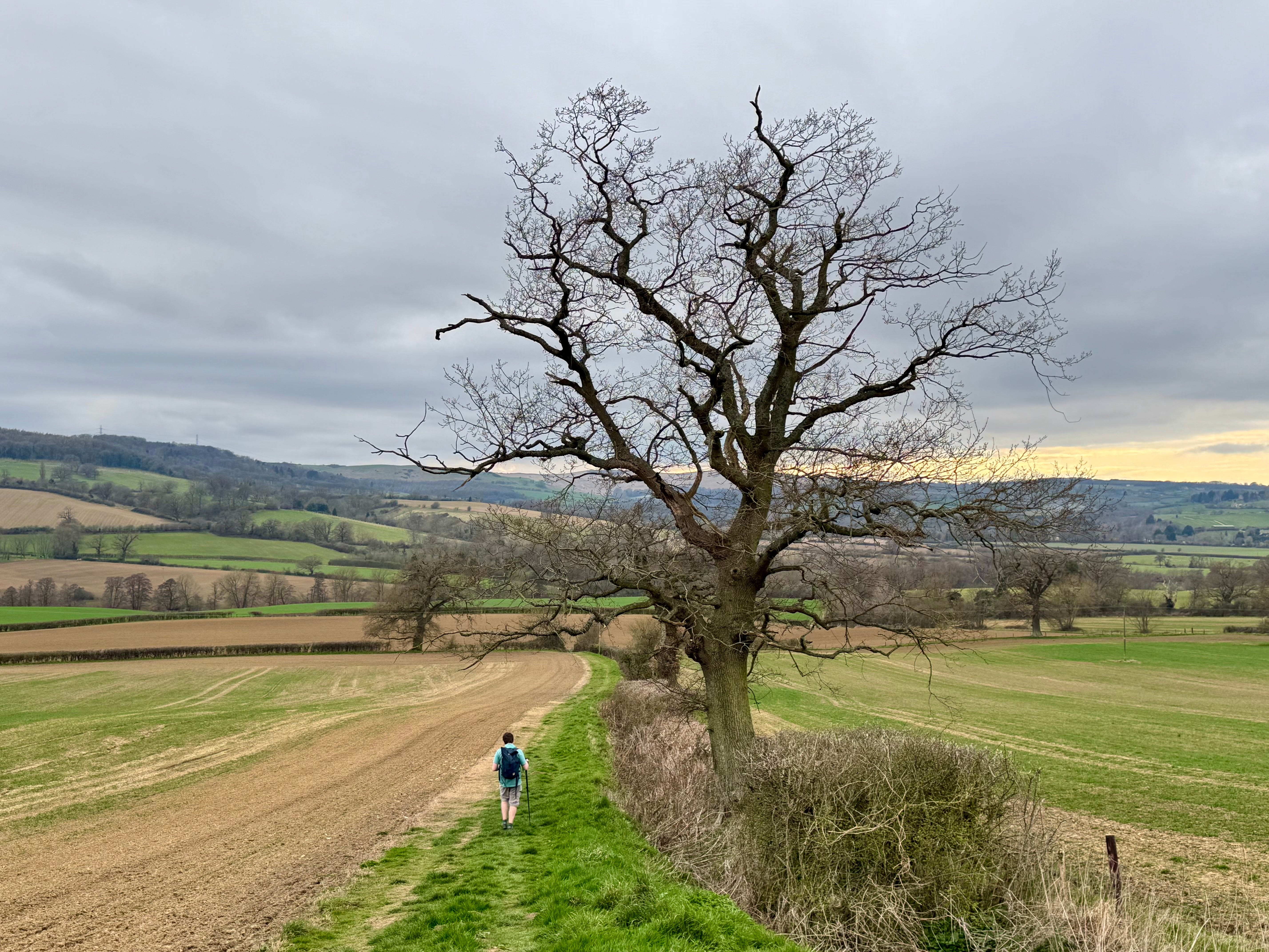 Walking the Cotswolds