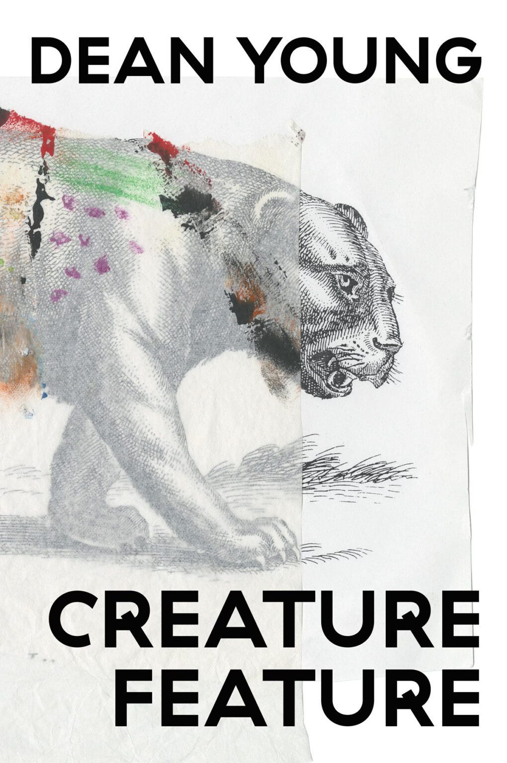 Book cover — the front half of a big cat, a line drawing black on white, with some colourful paint daubed on a kind of overlay.