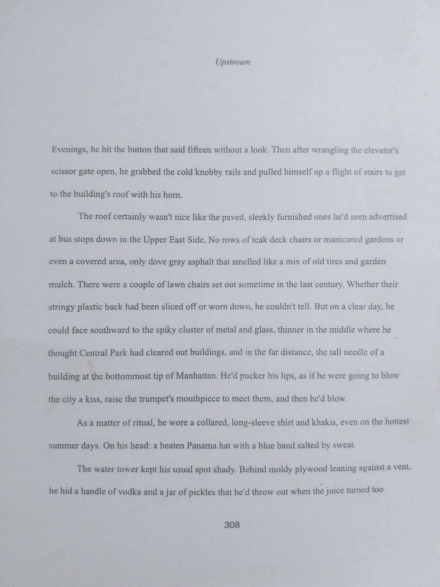 A printed page from the mentioned chapter called Upstream; copyright 2023 Pitchaya Sudbanthad.