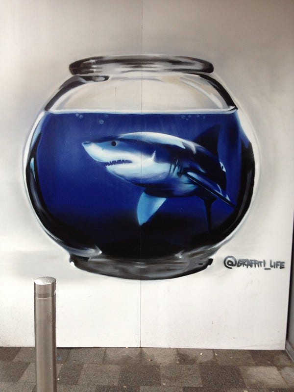 Shoreditch Graffitti - Shark Fish Bowl Shoreditch Graffitti - Shark Fish Bowl