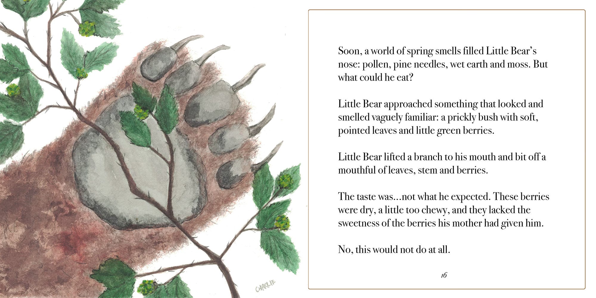 A storybook illustration of a bear's paw holding unripe berries