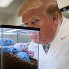 Trump Claimed the NIH Spent $8 Million 'Making Mice Transgender,' Which Is Actually Partly True