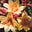 _WhispersOfSage7_'s avatar