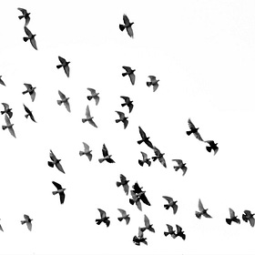 What if hard work felt easier?