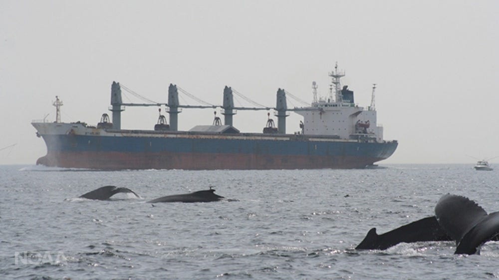 Vessel Incidents | Monterey Bay National Marine Sanctuary