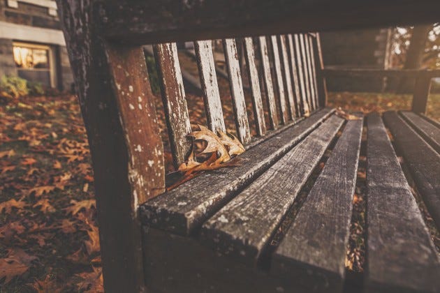 wood-bench-park-autumn wood-bench-park-autumn
