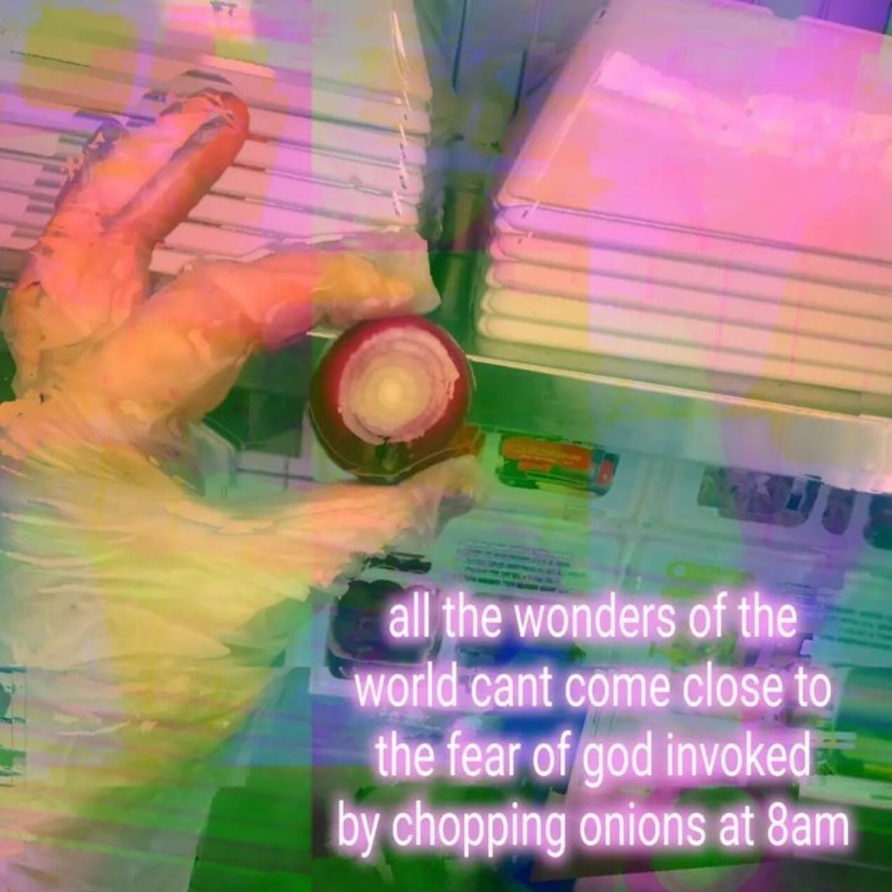 [meme] a hand holds an onion up, glitch filter over the image. text reads: all the wonders of the world cant come close to the fear of god invoked by chopping onions at 8am