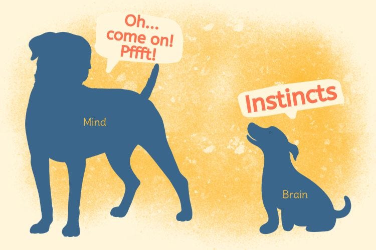 Instincts Instincts