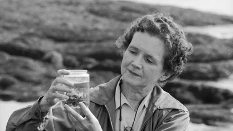 The Story of Silent Spring The Story of Silent Spring