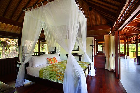 Light On Life retreats at Being Sattvva, Ubud, Bali