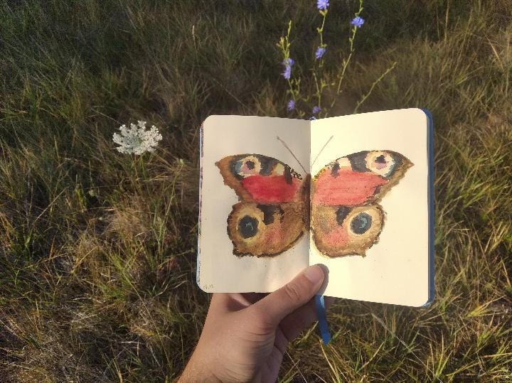 butterfly painted in sketchbook by Réka Berty butterfly painted in sketchbook by Réka Berty