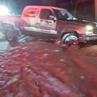 Owen Sound Driver Charged with Impaired and Dangerous Operation After Crash in Georgian Bluffs