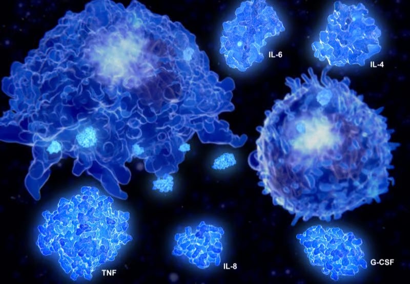 Cytokine Storm Cytokine Storm